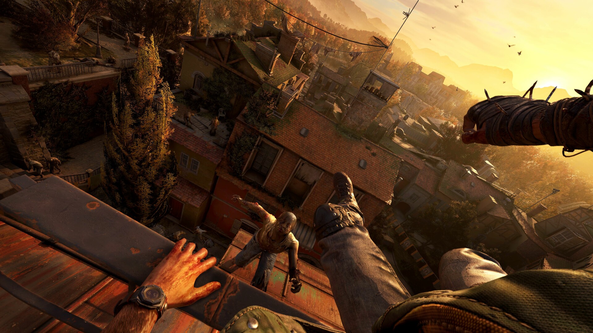 消逝的光芒:困兽失地复苏版/Dying Light: The Beast Restored Land欣宇云博客欣宇云博客